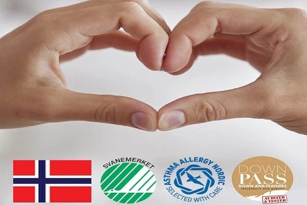 Drøm dynetest 8